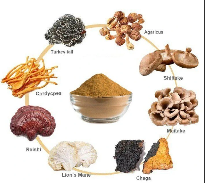 Natural Endurance Supplements