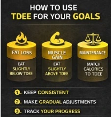 TDEE (Total Daily Energy Expenditure)