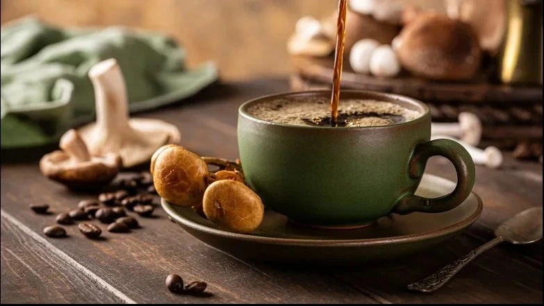 Chemical Sabotage: How Modern “Bean Water” is Jamming Your Spiritual Energy