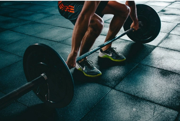 Mushroom Intelligence Using Adaptogens to Reoccupy the Trauma