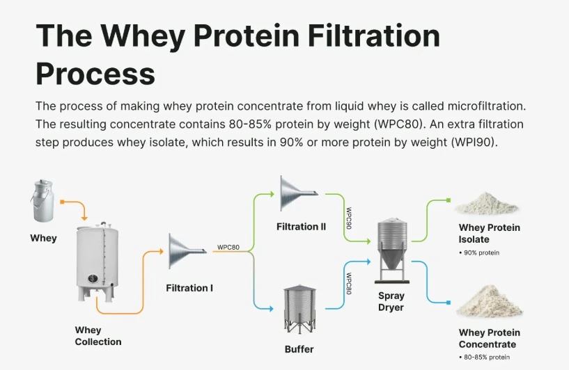 Whey Protein Isolate vs Concentrate Secrets 