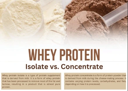 Whey Protein Isolate vs Concentrate Secrets